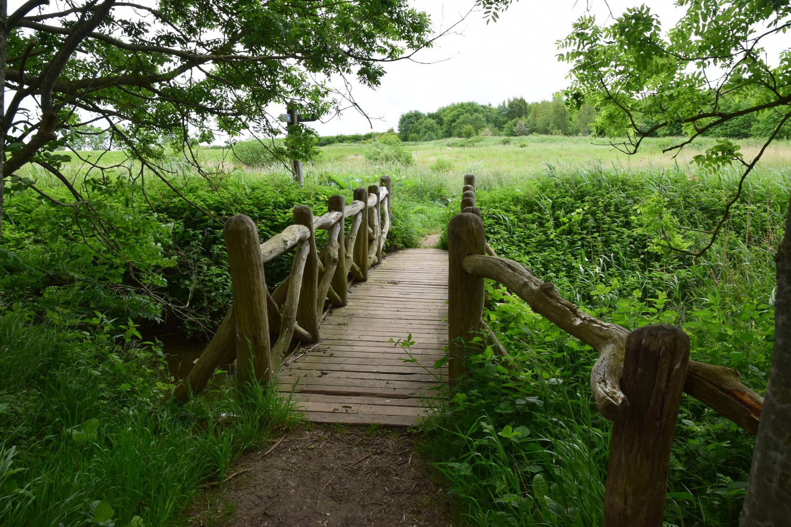 Brücke im grünen