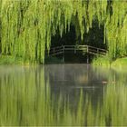 Brücke im Grünen