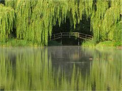 Brücke im Grünen