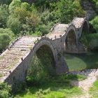 Brücke im grünen Meer