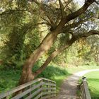 Brücke im Herbst