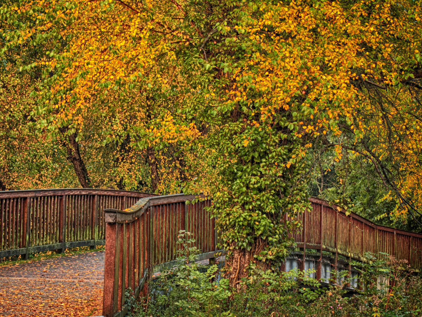 Brücke im Herbst