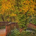 Brücke im Herbst