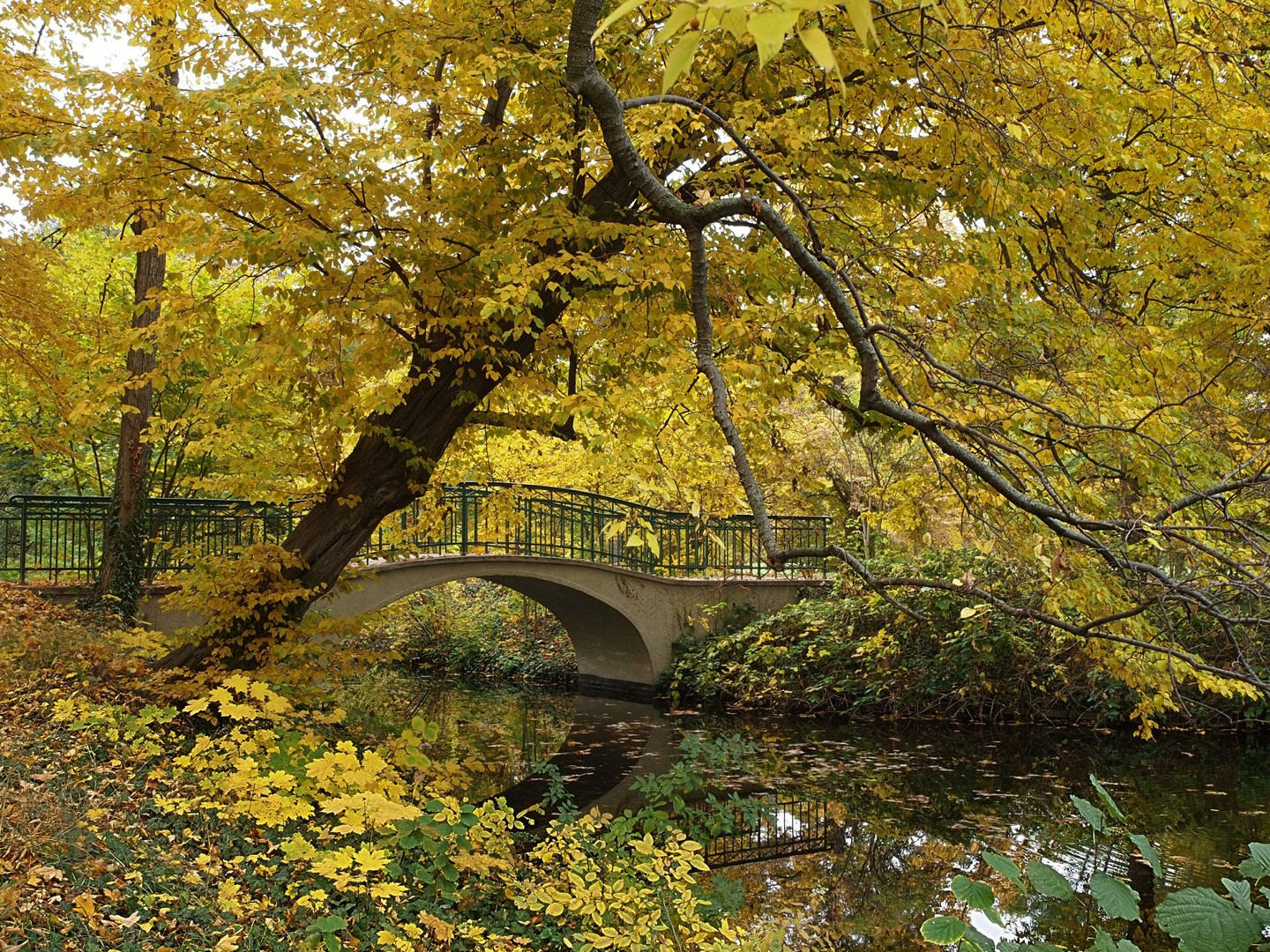 Brücke im Herbst