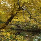 Brücke im Herbst