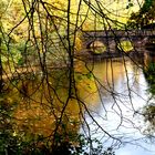 Brücke im Herbst