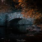 Brücke im Herbst