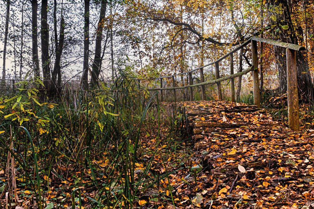 Brücke im Herbst