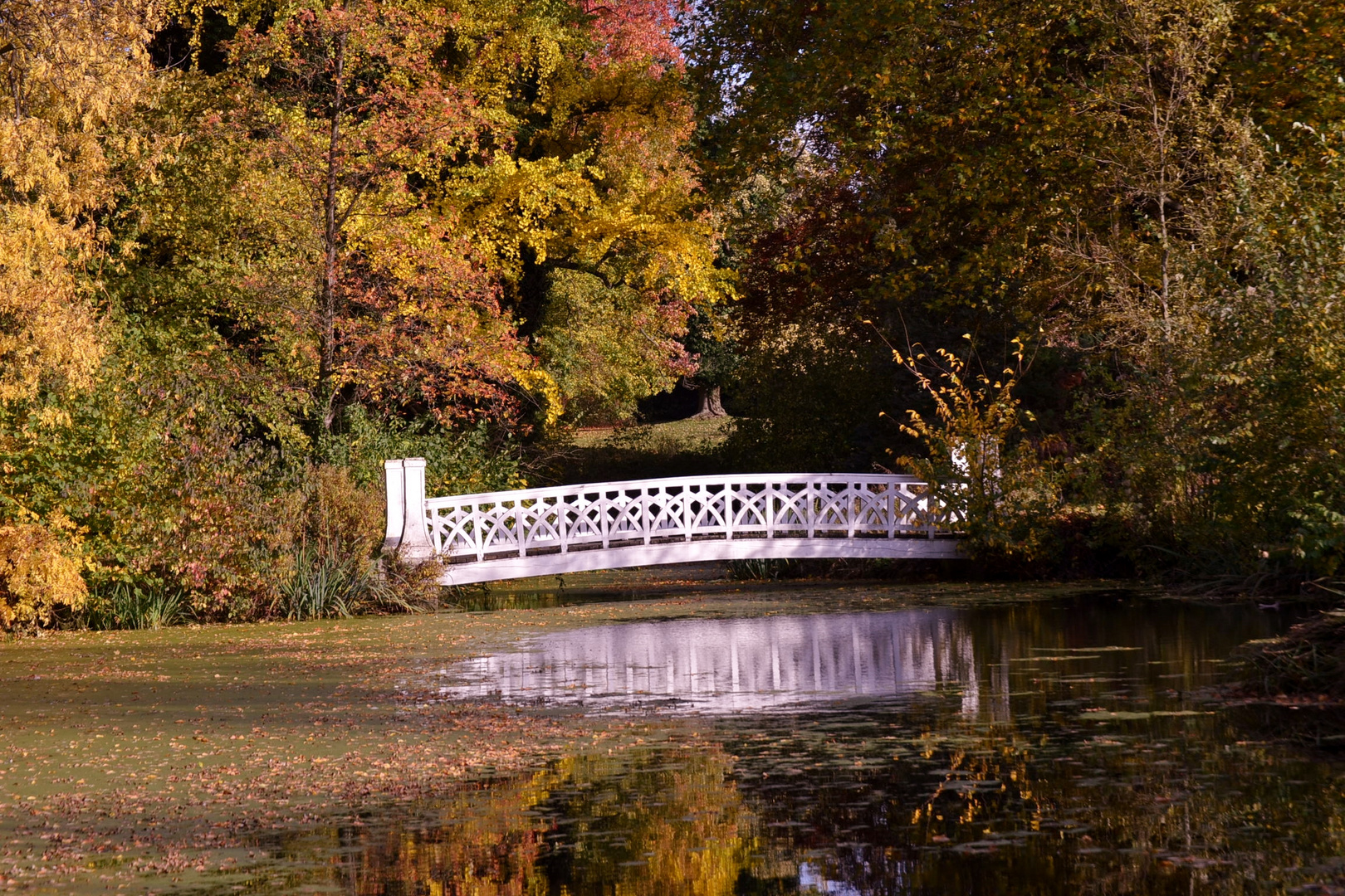 Brücke im Herbst