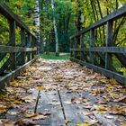 Brücke im Herbst