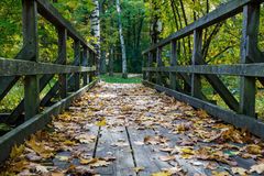 Brücke im Herbst