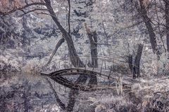 Brücke im Herbst I [IR]