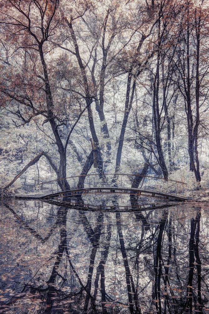 Brücke im Herbst II [IR]