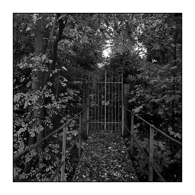 brücke im herbstlaub