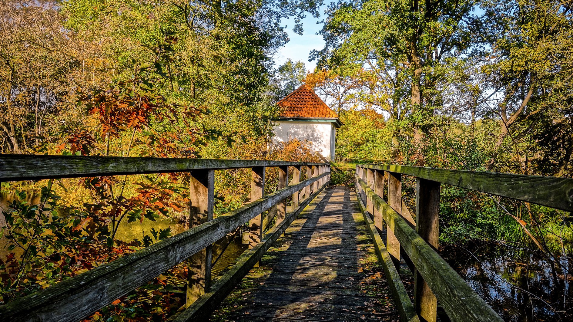 Brücke im Herbstlicht