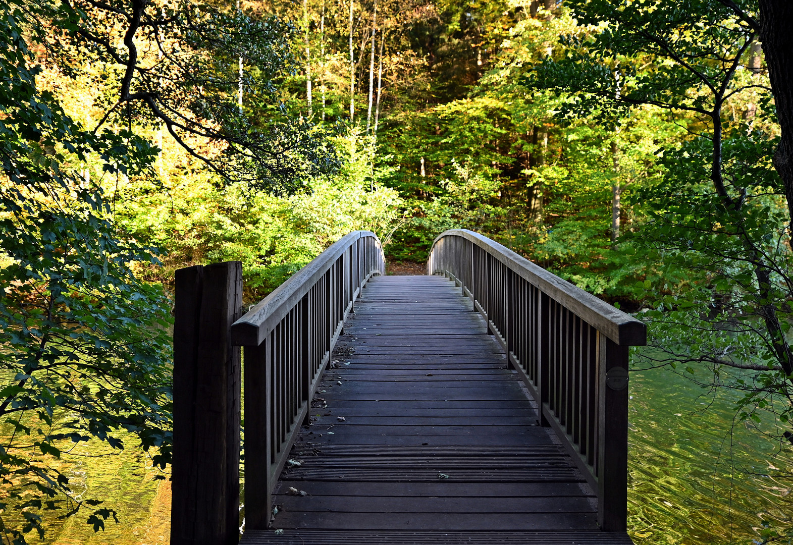 Brücke im Herbstwald