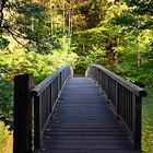 Brücke im Herbstwald