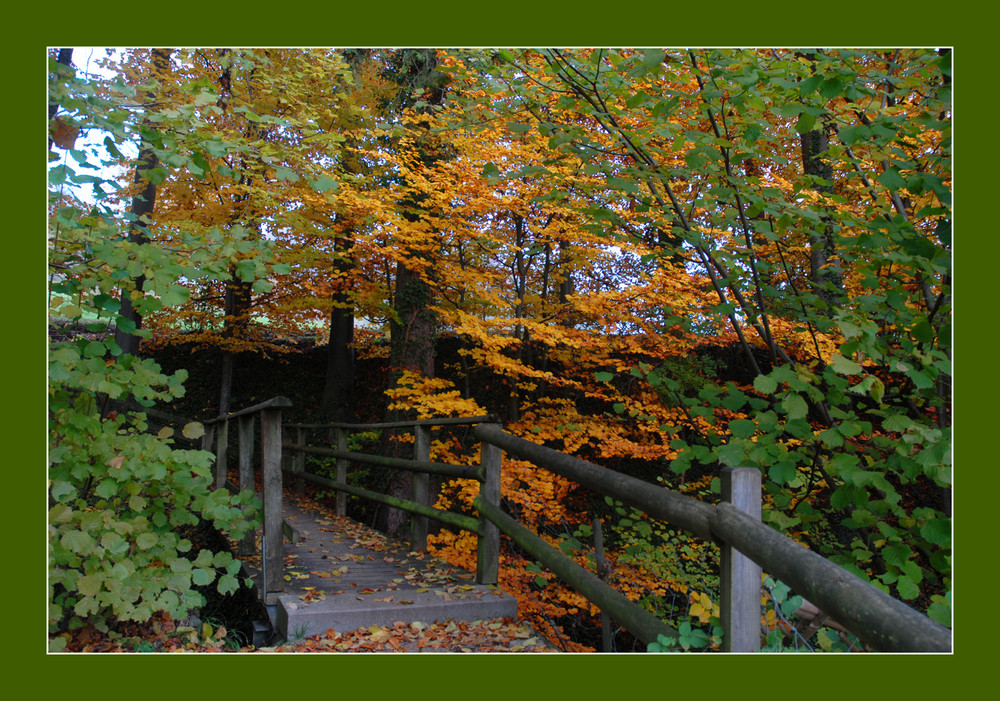 Brücke im Herbstwald