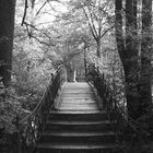 Brücke im Hofgarten Bayreuth