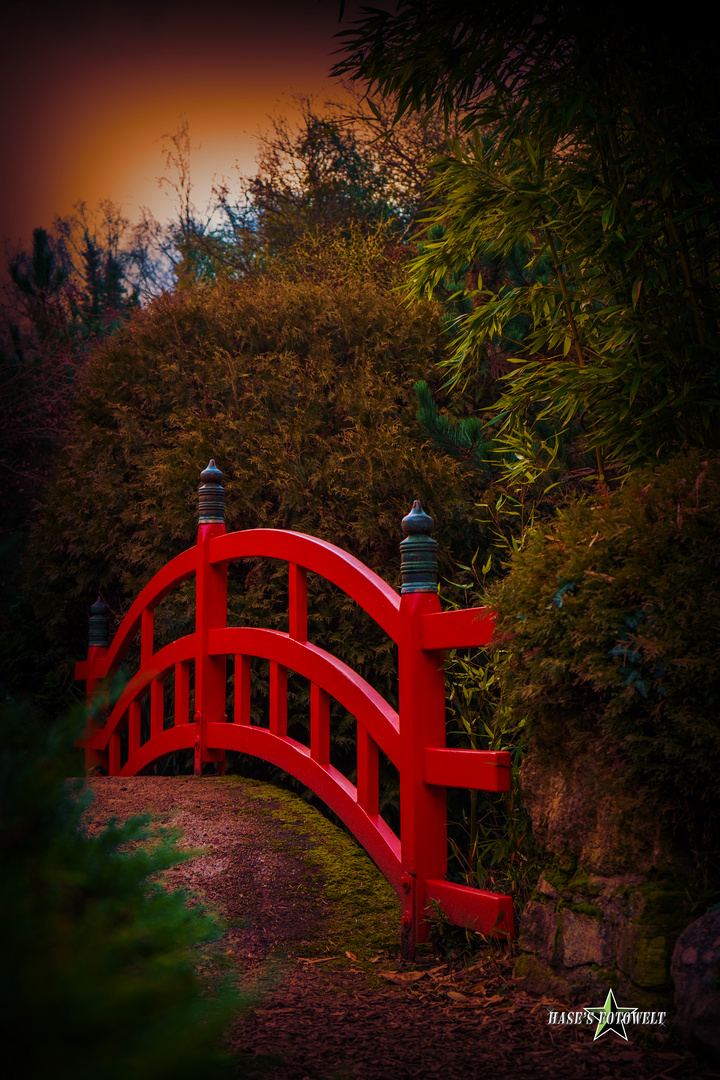 Brücke im Japanischen Garten 