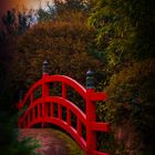 Brücke im Japanischen Garten 