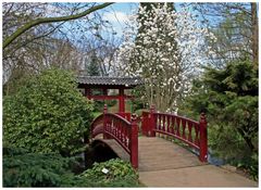 Brücke im japanischen Garten der BAYER AG in Leverkusen
