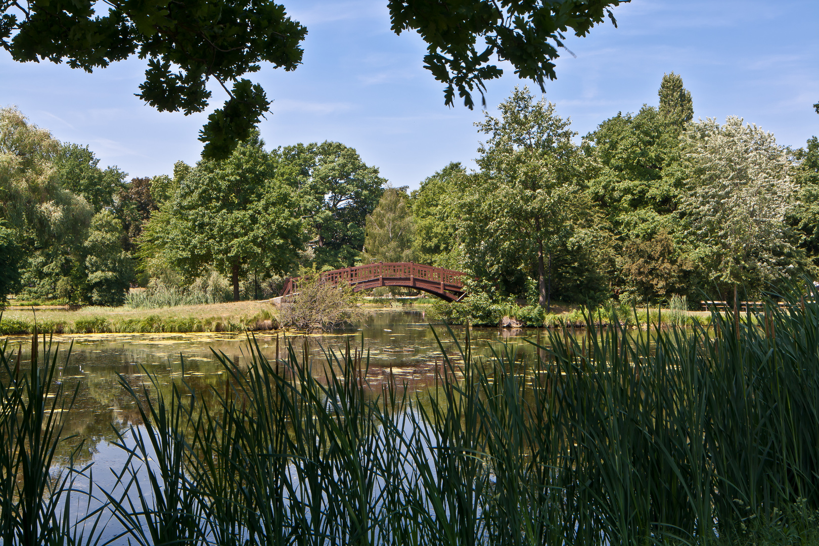 Brücke im Johannapark