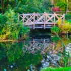 Brücke im Kurpark