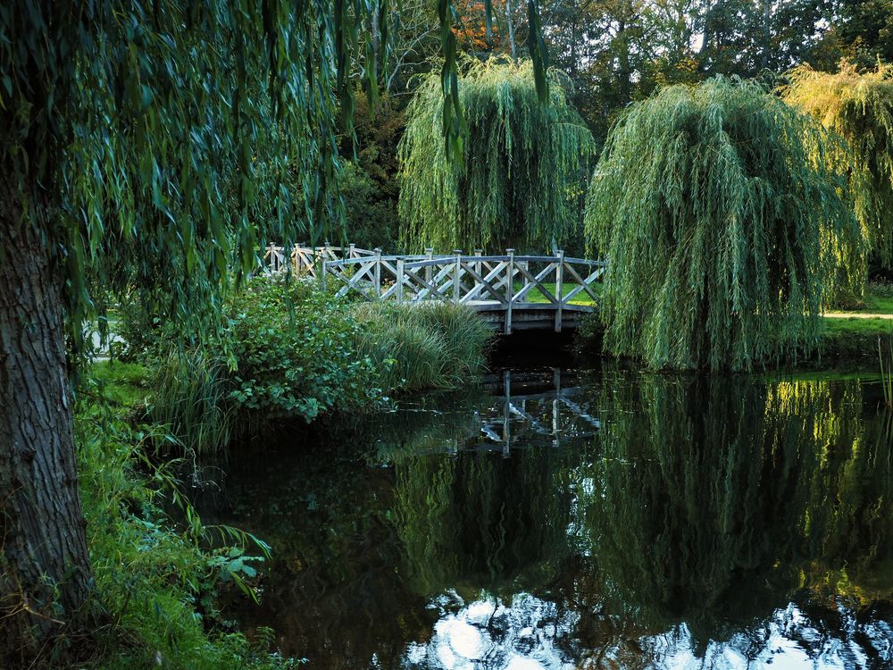 Brücke im Kurpark