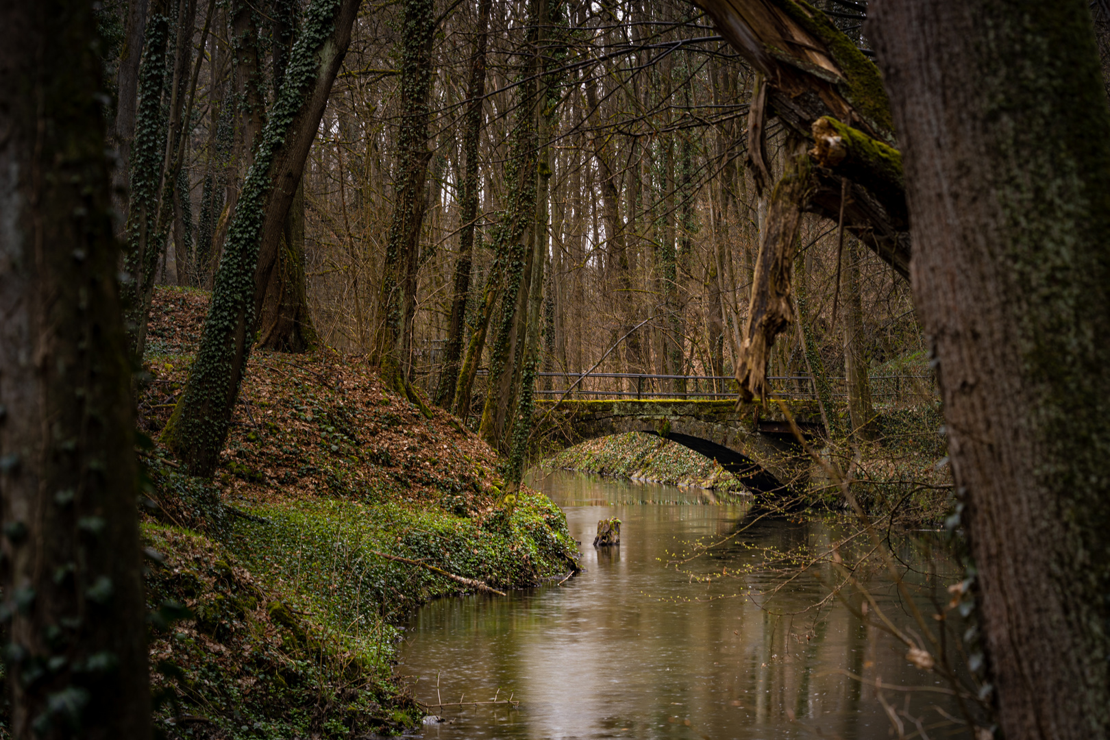 Brücke im Liebethaler Grund