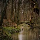 Brücke im Liebethaler Grund