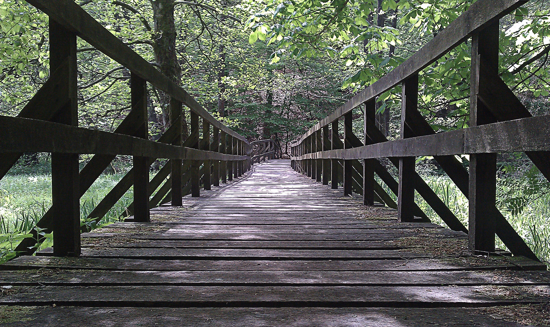 Brücke im Marscheider Wald