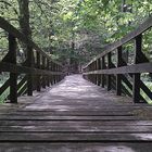 Brücke im Marscheider Wald