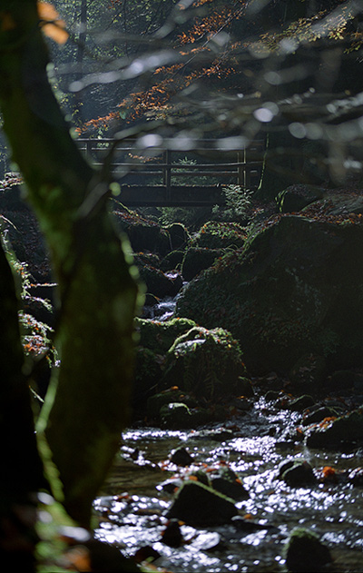 Brücke im Morgenlicht