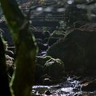 Brücke im Morgenlicht