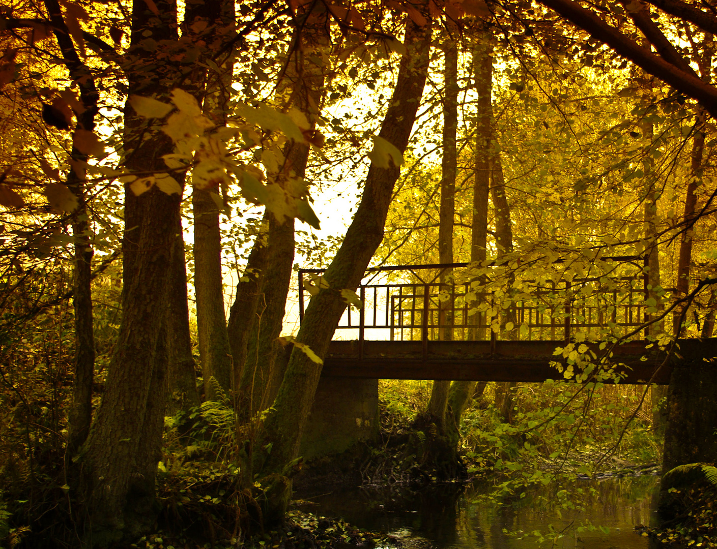 Brücke im Naafbachtal