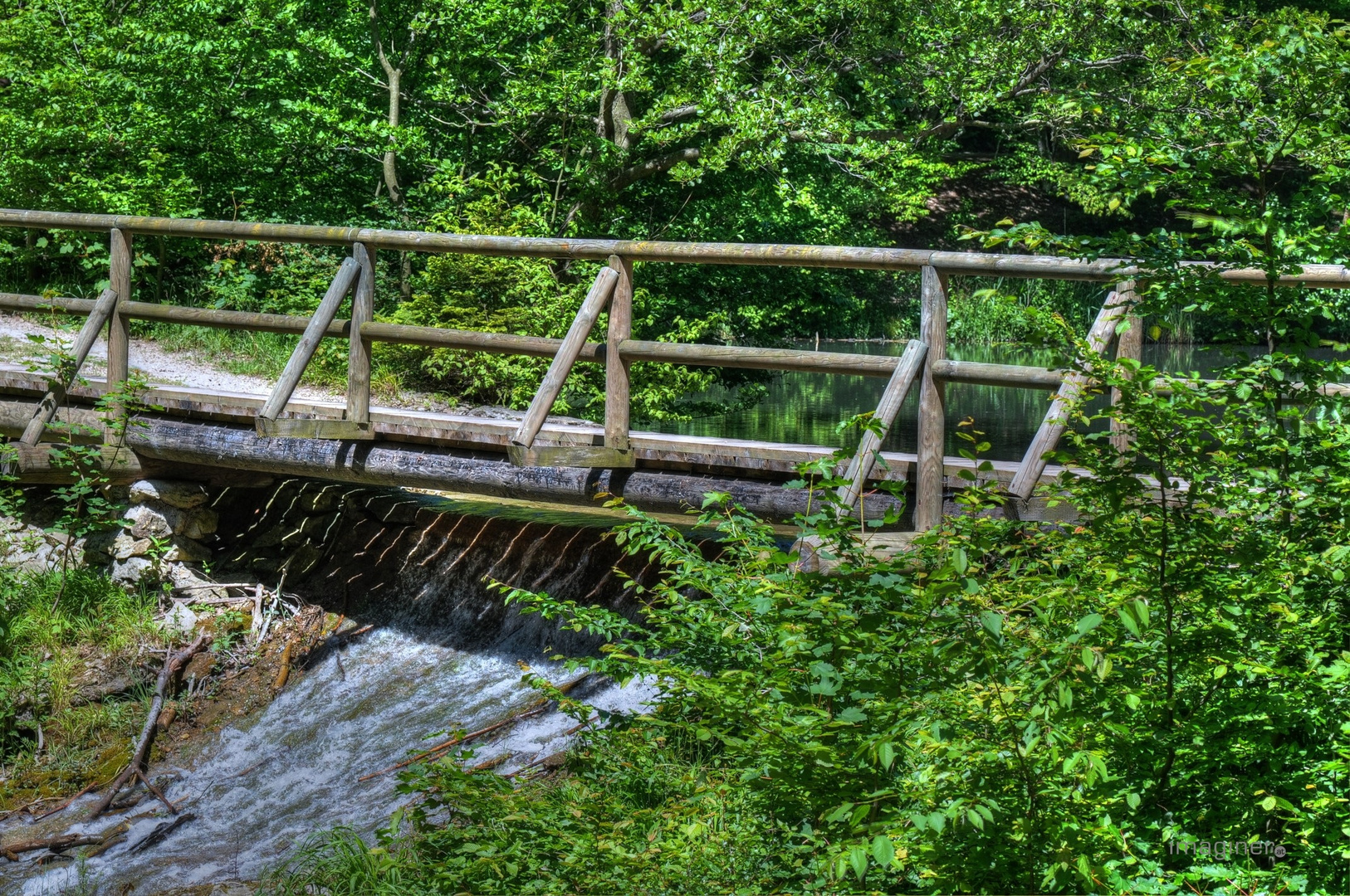 Brücke im Naturpark