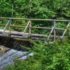 Brücke im Naturpark