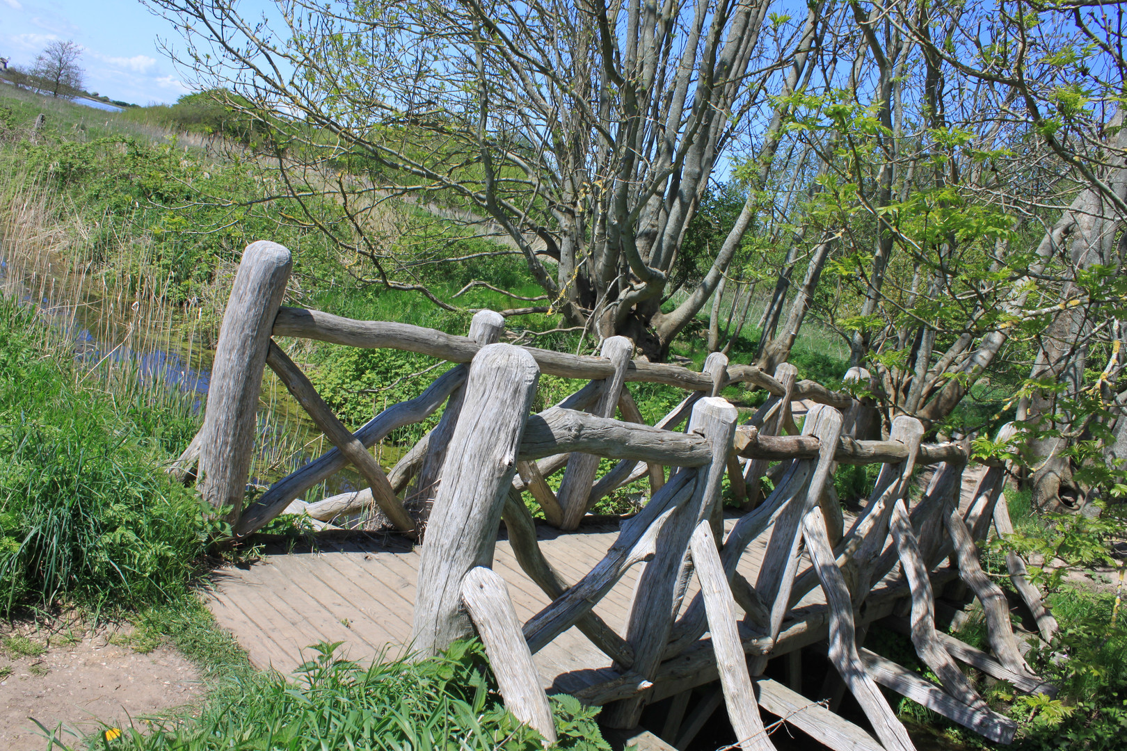 Brücke im Naturschutzgebiet "Geltinger Birk"