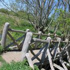 Brücke im Naturschutzgebiet "Geltinger Birk"