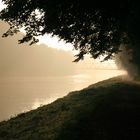 Brücke im Nebel