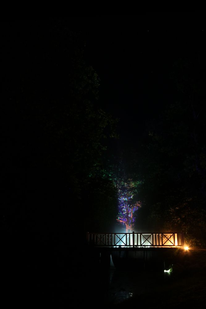 Brücke im Nebel