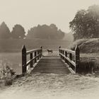 Brücke im Nebel