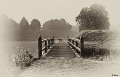 Brücke im Nebel