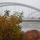 Brücke im Nebel