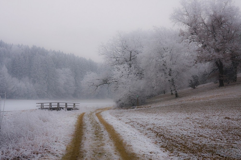 Brücke im Nebel