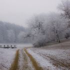 Brücke im Nebel