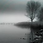 Brücke im Nebel