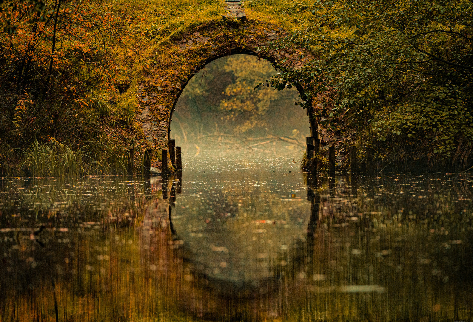 Brücke im Nebel 