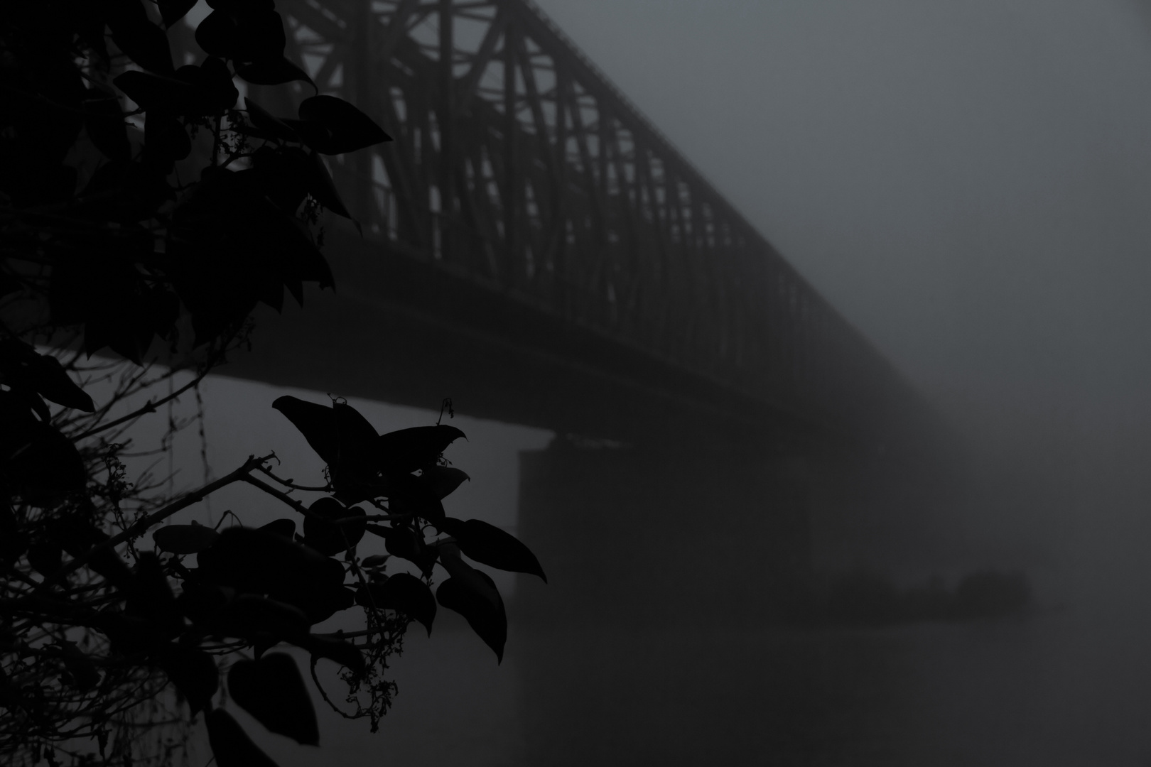 Brücke im Nebel ruft